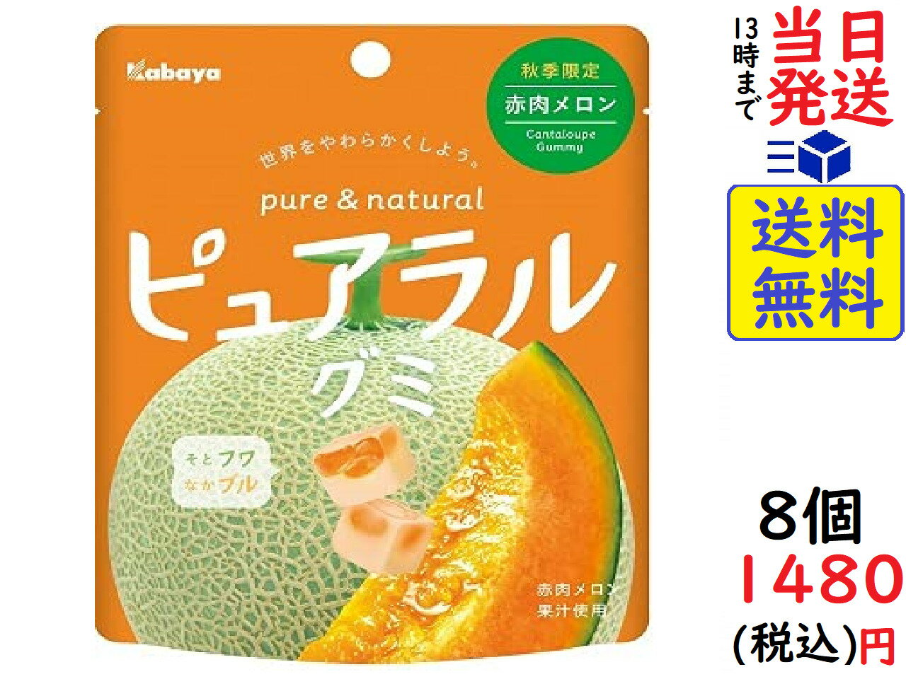 カバヤ食品 ピュアラルグミ 赤肉メロン 58g × 8個賞味期限2022/06のサムネイル