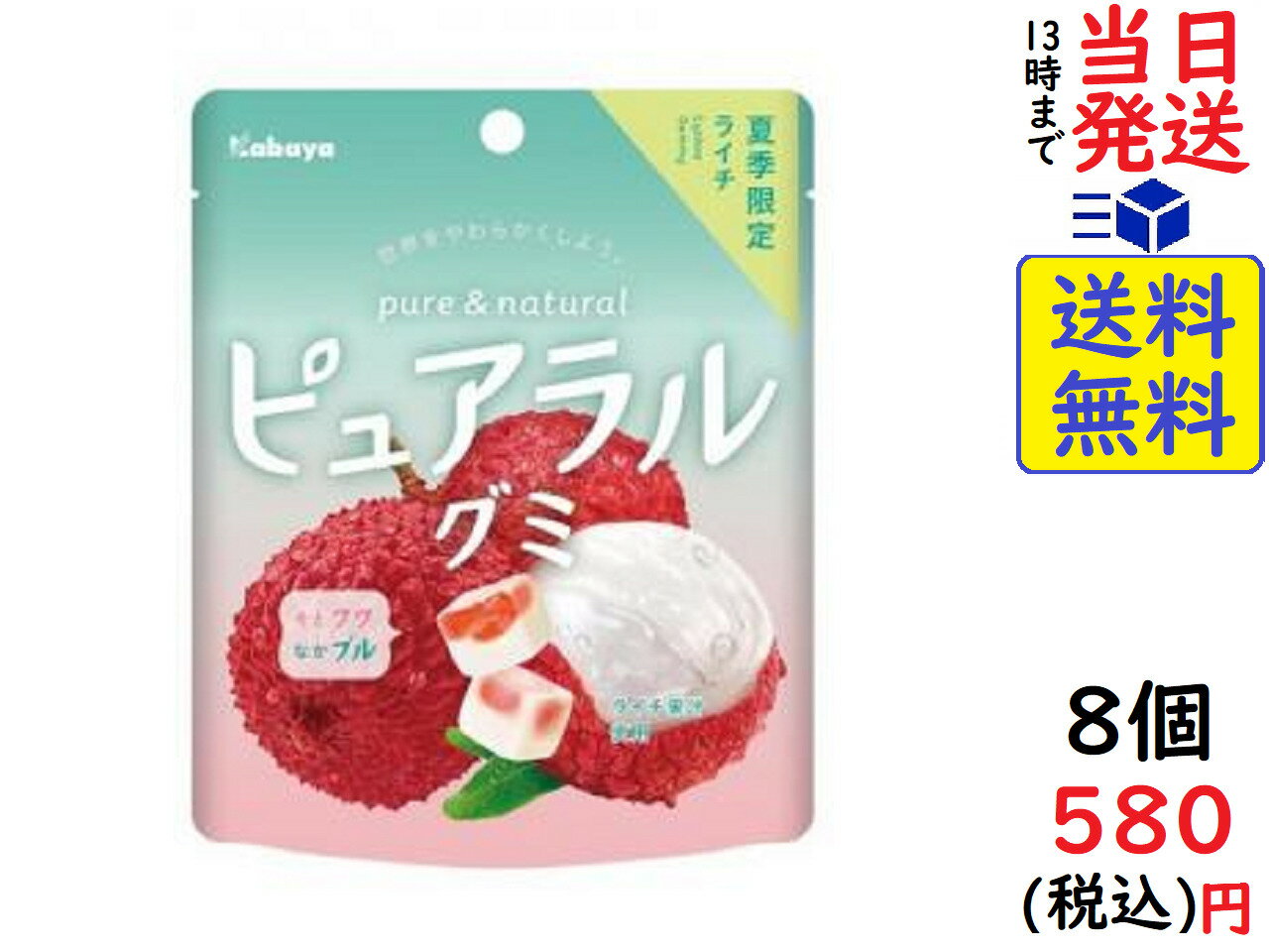カバヤ ピュアラルグミ ライチ 58g ×8個賞味期限2022/03のサムネイル