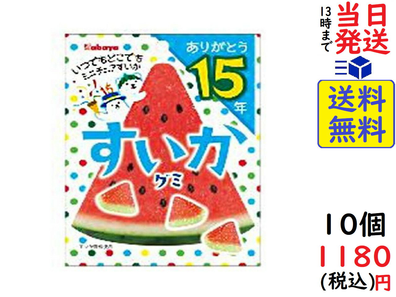 カバヤ食品 すいかグミ 50g ×10個賞味期限2023/02
