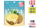 カバヤ ピュアラルグミ Pina パイン 58g ×8個賞味期限2023/12