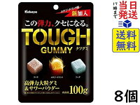 カバヤ食品 タフグミ 100g ×8個賞味期限2023/09