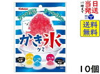 カバヤ食品 かき氷グミ 55g ×10個賞味期限2024/10