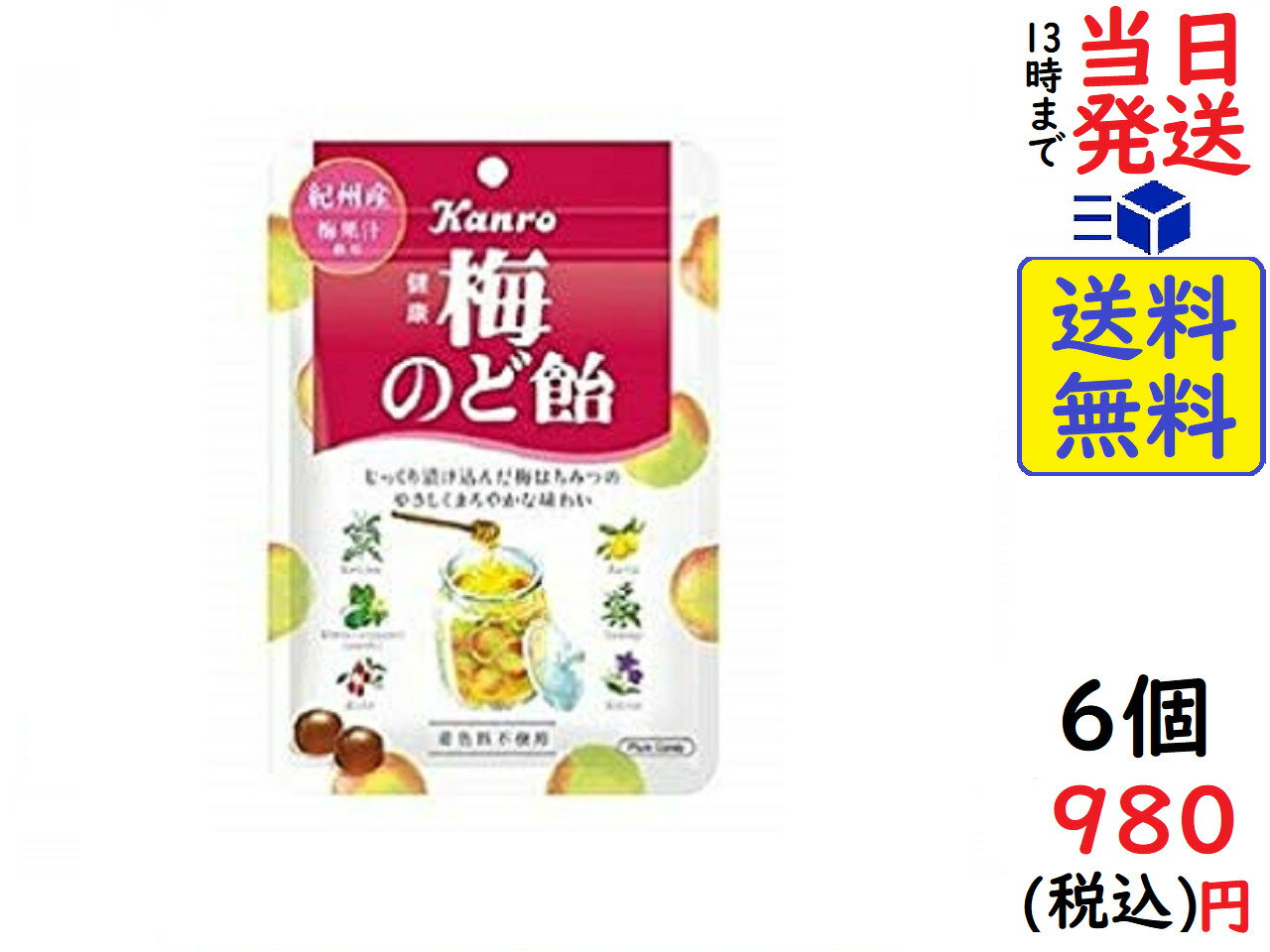 カンロ 健康梅のど飴 90g×6袋　賞味期限2022/06