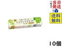 カンロ 日本でそだったシャインマスカットのど飴 11粒×10個賞味期限2026/03