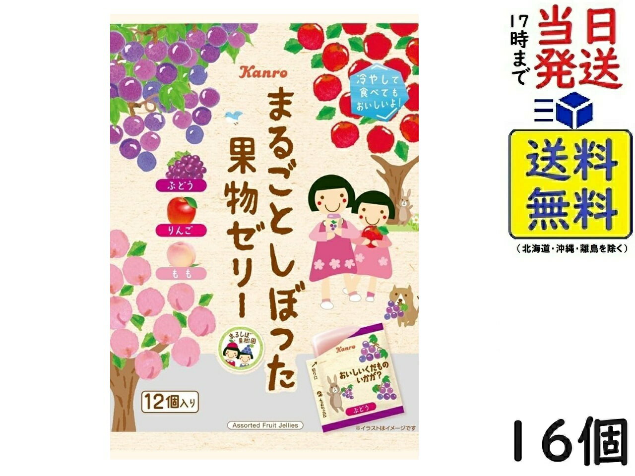 カンロ まるごとしぼった果物ゼリー 12個×16個賞味期限2026/06