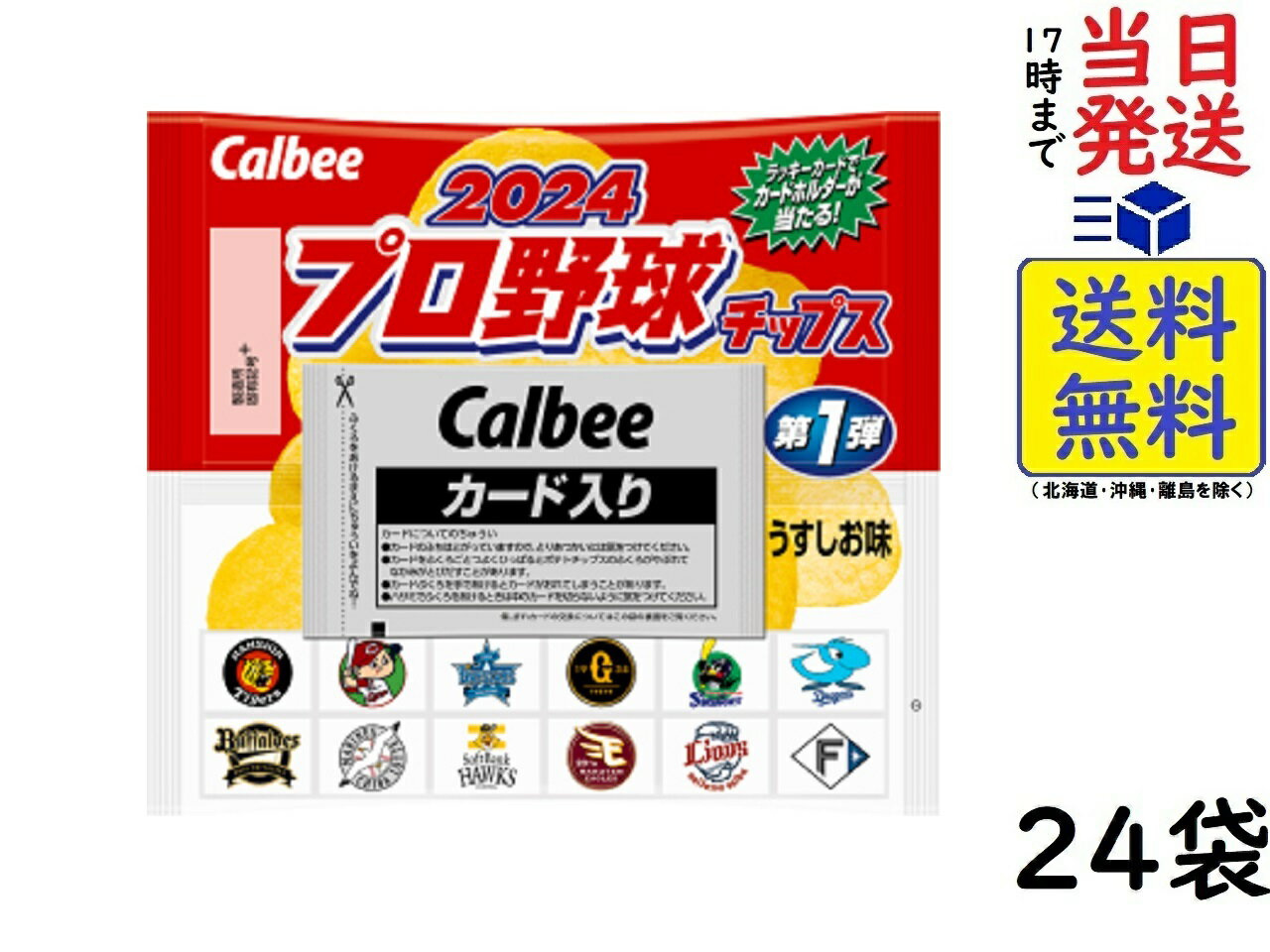 カルビー 2024 プロ野球チップス 第1弾 22g×24個×4箱 賞味期限2024/09