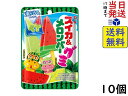 ロッテ スイカ&メロンバーグミ 73g ×10個 賞味期限2026/06