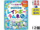 UHA味覚糖 レインボーラムネミニ ソーダ味 30g ×12個賞味期限2024/07