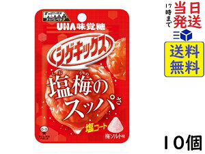 UHA味覚糖 シゲキックス 梅ソルト 20g ×10個賞味期限2024/05