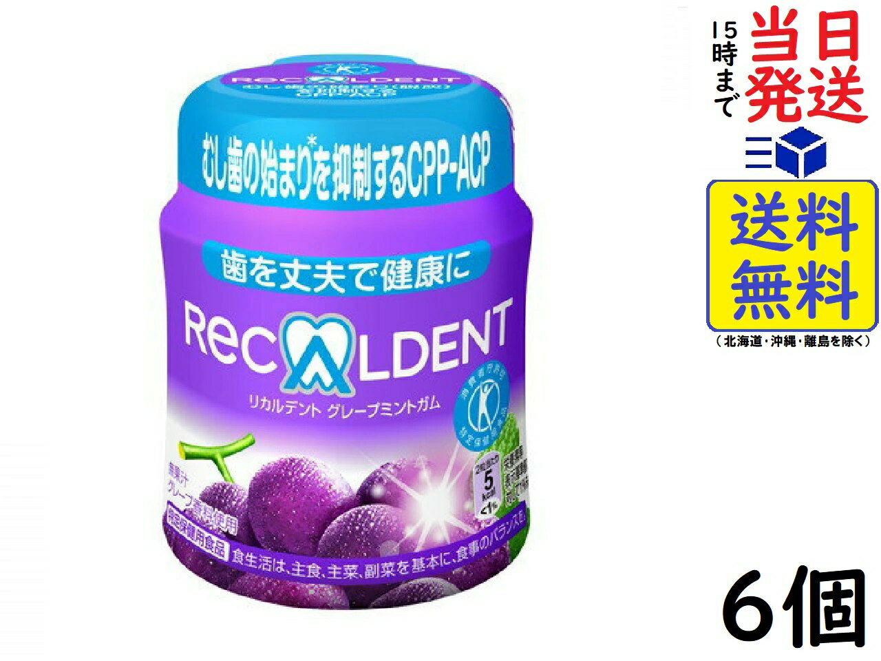 モンデリーズ・ジャパン リカルデント グレープミントガム ボトル 140g ×6個賞味期限2025/03