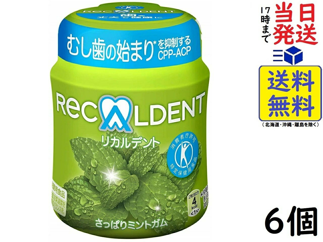 モンデリーズ リカルデント さっぱりミントガム（粒）ボトルR 140g ×6個賞味期限2025/04