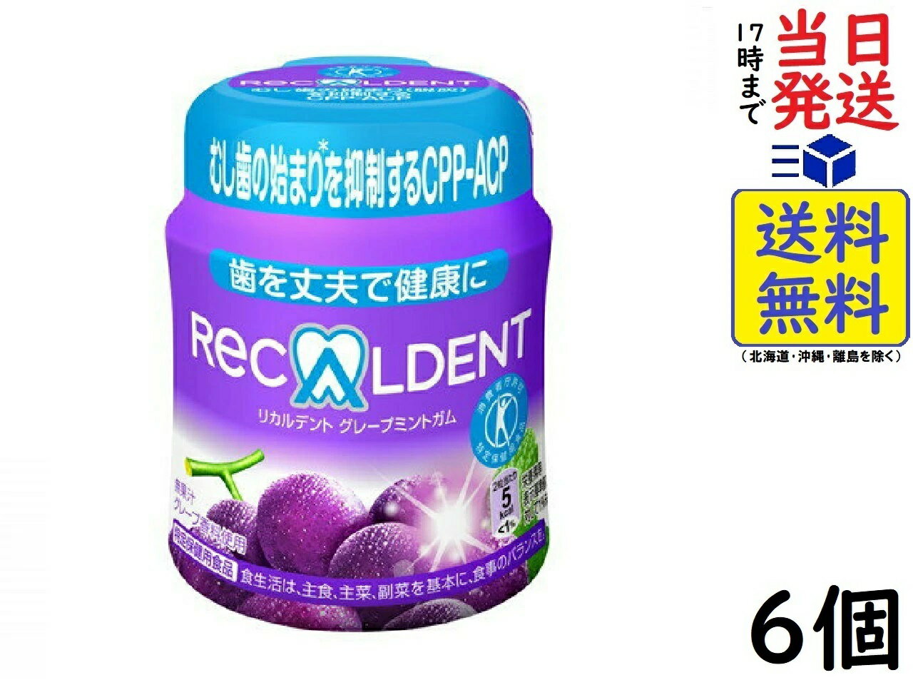モンデリーズ・ジャパン リカルデント グレープミントガム ボトル 140g ×6個賞味期限2025/03