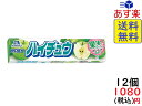 森永製菓 ハイチュウ グリーンアップル 12粒×12個　2020/09