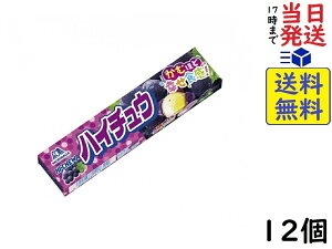 森永製菓 ハイチュウ グレープ 12粒 ×12個　賞味期限2024/01