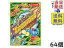 菓楽 ライフガード タブレット塩分プラス 70g ×64個賞味期限2024/06