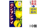 セイカ食品 ボンタンアメ 14粒 ×10個賞味期限2024/06/26