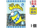 パイン どんぐりガム サイダー 100個賞味期限2026/04