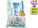 松屋製菓 塩れもんキャンディ 800g賞味期限2026/06