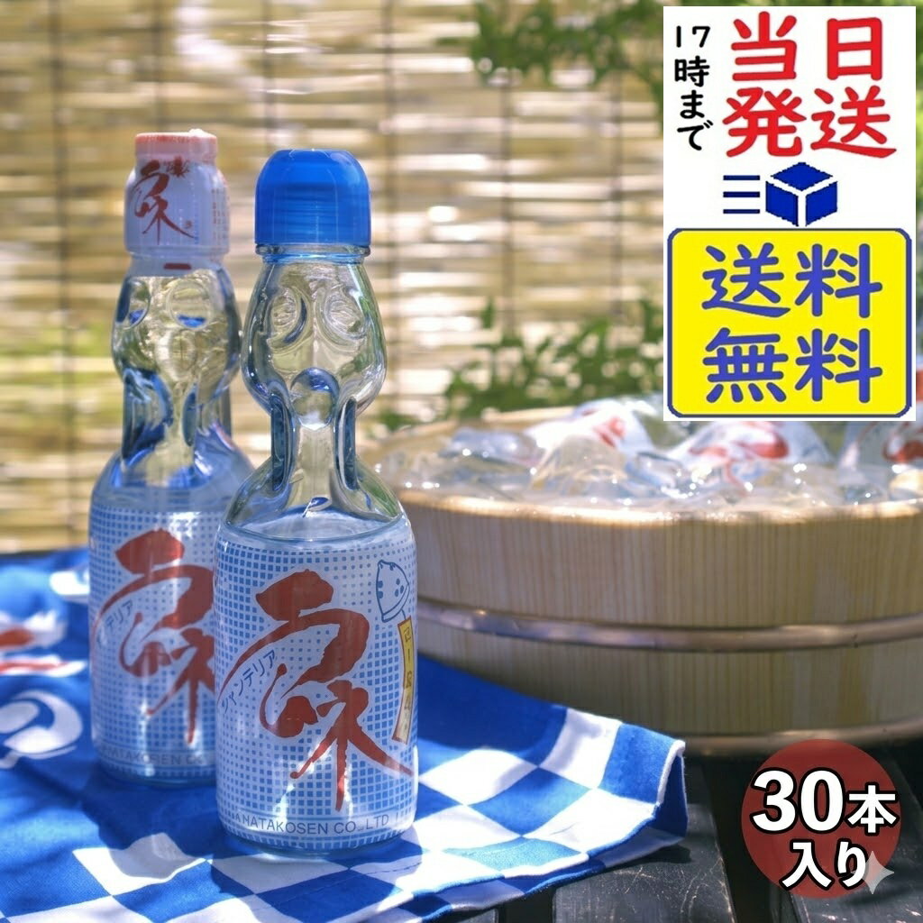 ハタ鉱泉 瓶ラムネ 200ml×30本賞味期限2026/09/12