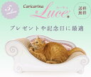 【にゃんこ家具】 カリカリーナLuce グラングランXLサイズ猫 ネコ ねこ 猫用 爪研ぎ 爪とぎ 猫用つめとぎ 段ボール ダンボール 日本製 送料無料
