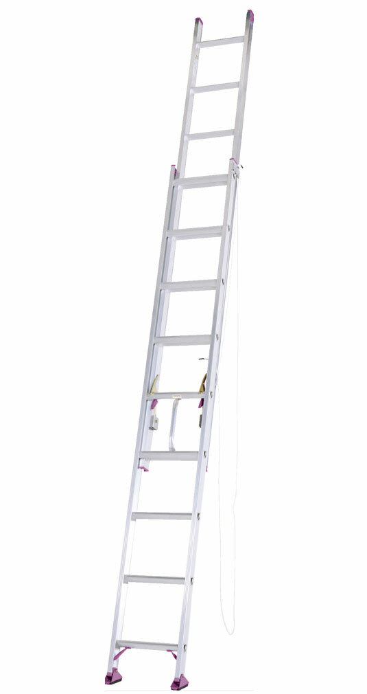 【送料無料】アルインコ　2連はしご　安心2連梯子5M　CX50DE　＊北海道、沖縄、離島別途送料御見積