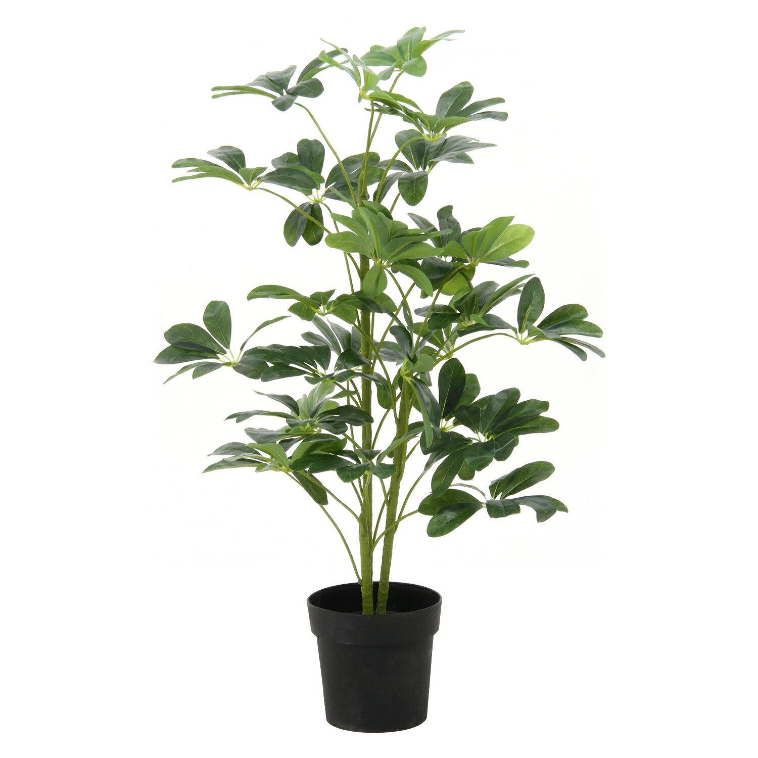 Benches - 【不二貿易】観葉植物　ヤドリフカノキ　216《52693》（＊北海道別途送料　＊沖縄県離島要御見積）ガーデン　フェイク　葉　グリーン　植物　カフェ　庭　