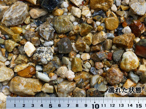 ��������γ����20kg��5�� �����ǥ˥� �����ǥ� ��� ��¤�� DIY ���߻��