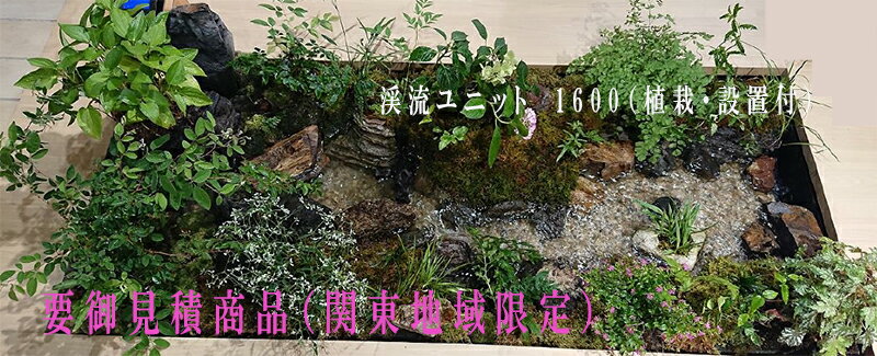 ��ή��˥å� �ʿ����ա����ֹ����ա��׸渫�ѥڡ����������ϰ����ˡ�THE KEIRYU COMPANY��ư�褢�ꡡ��ή���ɥ������������������ǥ󡡥����ǥ˥󥰡����⥬���ǥ˥󥰡���ꡡ�ޥ󥷥�󥨥�ȥ�󥹡����Ϸ�ͥۡ��ࡡ�ߺϡ��掠�ӡ����������²�ۡ��ɥ������⡼����