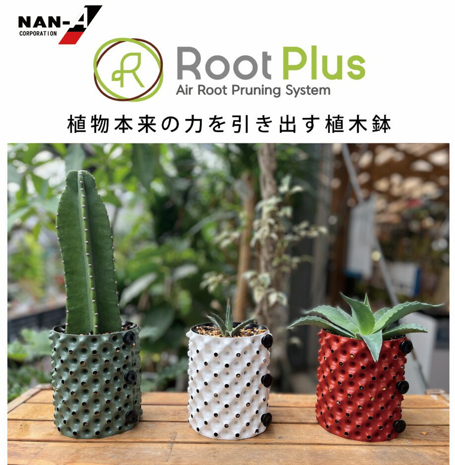 ̵RootPlus롼ȥץ饹ݥåȥߥˡGS-AP150MINI3.0L10ɹȡ