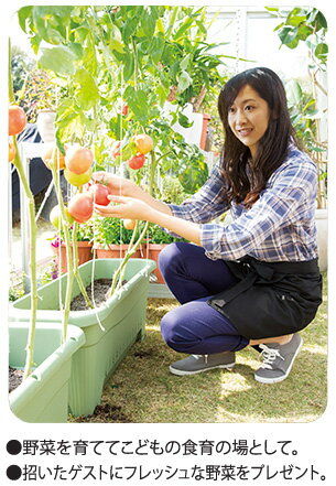 設置工事込/地域により送料別途要見積 アルミニ...の紹介画像2