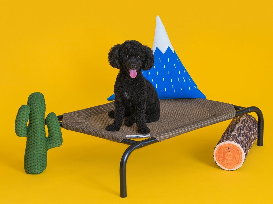 写真付きレビュー】ファブリック ドッグベッド（小型犬用）ペットベッド 犬用ベッド 犬用コット 送料無料の通販商品口コミ情報 |  RoomClipショッピング