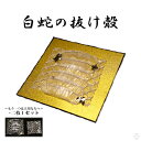 【岩國白蛇神社にて祈祷済み】 白蛇 二つ1セット 抜け殻 白ヘビ 開運 しろへび アルビノ 金運アップ 祈願済み 白へび 蛇 抜殻 縁起物 本物 白蛇抜け殻 宝...