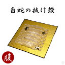 【岩國白蛇神社にて祈祷済み】 白蛇 腹部 抜け殻 白ヘビ 開運 置物抜殻 しろへび アルビノ 金運アップ 白へび 蛇 抜殻 縁起物 本物 白蛇抜け殻 宝くじ 脱...