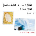 白蛇の抜け殻 × ふくろう羽根(ラミネート)・くじゃく羽根 2点セット 超希少 白蛇 抜け殻 祈願済み 梟 フクロウ 孔雀 はね ハンドメイド品 EXLEAD ...