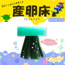 楽天株式会社EXLEAD JAPAN【レビューで500円オフクーポン配布中】 めだかの産卵床 完成品 4個セット 豆カフェめだか 激採れ カラーはランダム 人工水草 特殊繊維 卵 採取 保護 めだか メダカ 産卵 熱帯魚 淡水魚 水槽 ビオトープ