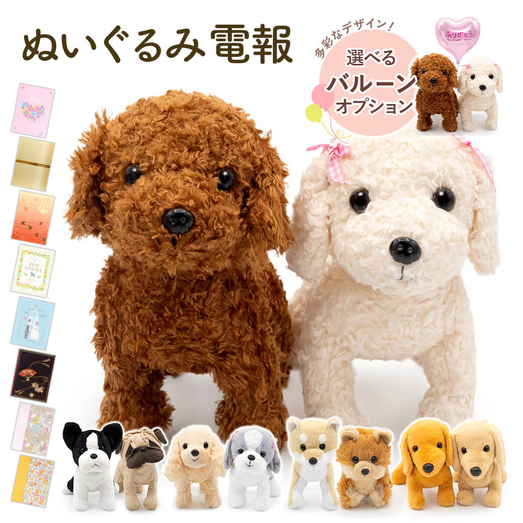 祝電 結婚式 ぬいぐるみ電報 ｢プレミアムパピー ペアセット｣ と 電報セット 送料無料 お祝い ギフト 風船 バルーン 電報 結婚式 文例 メッセージ 結婚祝い ウェルカムドール 誕生日 クリスマス プレゼント 2025 受章祝い かわいい 犬 ペット 即日発送 翌日配達
