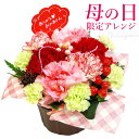【母の日ギフト2025】アレンジメントフラワー 「アレンジメント・サンクス」 送料無料 お祝い 母の日 花 カーネーション フラワーギフト プレゼント 女性 お...