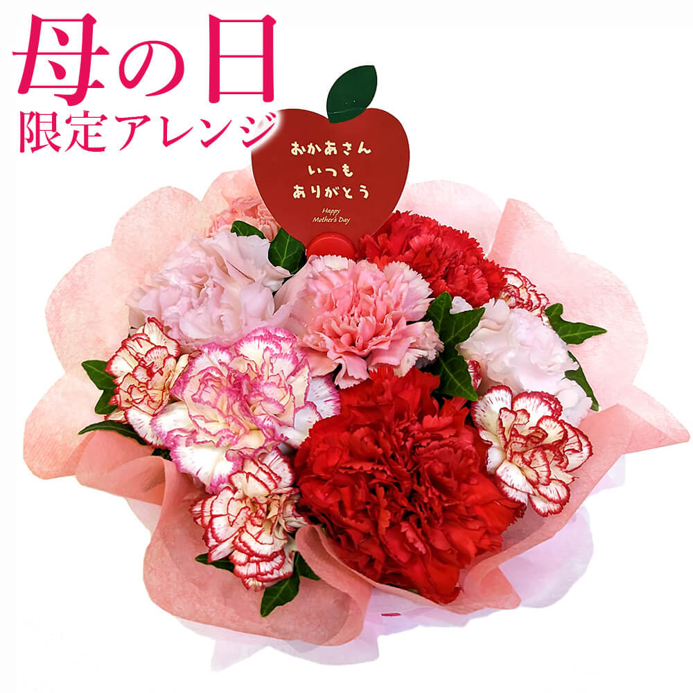 樂天商城 - 【母の日ギフト2026】フラワー ｢アレンジメント・グラシアス｣ (電報なし) 送料無料 お祝い 母の日 花 カーネーション フラワーギフト プレゼント 女性 お母さん 妻 彼女 おしゃれ かわいい 贈り物 30代 40代 50代 60代 即日発送 翌日配達