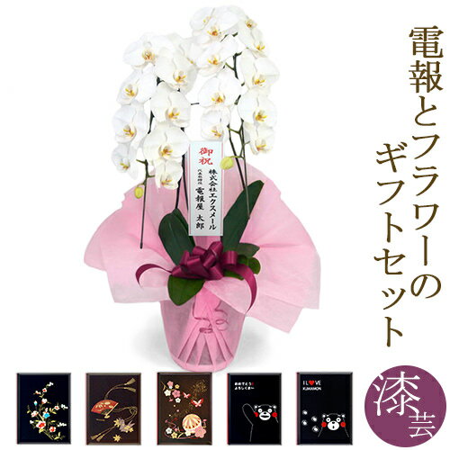 胡蝶蘭「特選胡蝶蘭　2本立　白」と「漆芸電報」のセット 送料無料 大輪 24輪以上 お祝い 花 フラワー ギフト 電報 祝電 文例 メッセージ 結婚 結婚式 結婚祝い 誕生日 卒業 入学 合格 開店祝い 開業 当選 立て札 即日発送 翌日配送 あす楽