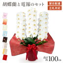「大輪胡蝶蘭 3本立 プレミアム 白」と電報セット 送料無料 42輪以上 お祝い 花 生花 フラワー ギフト リバティプリント 祝電 メッセージ 結婚式 結婚祝い 誕生日 プレゼント 父の日 2025 叙勲 受章祝い 長寿祝い 開店祝い 開業 当選 昇進 就任祝い 翌日配達