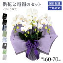 お供え用 「ミディ胡蝶蘭 5本立 白」 電報セット 送料無料 35輪以上 お供え花 生花 フラワー 供花 仏花 枕花 リバティプリント 電報 弔電 お悔やみ 葬...
