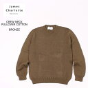 JAMES CHARLOTTE (ジェームス シャルロット) CREW NECK PULLOVER COTTON - BRONZE スプリングニット メンズ