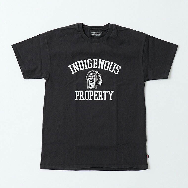 SLOPPY SUPPLY (スラッピーサプライ) NEO VINTAGE S/S PRINT TEE INDIGENOUS - FADE BLACK アメリカ製 Tシャツ メンズ