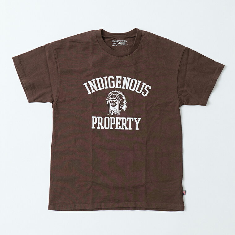 Rakuten - SLOPPY SUPPLY (スラッピーサプライ) NEO VINTAGE S/S PRINT TEE INDIGENOUS - BROWN アメリカ製 Tシャツ メンズ