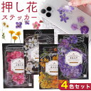 ステッカー 花 4色セット かわいい リアル シール ボタニカル ナチュラル デコレーション 手帳デコ スマホデコ オシャレ 日記 貼る デコ フラワー 可愛い...