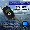 フィッシングスケール デジタルスケール 釣り バス釣り 電子吊り下げ量り 小包 食品はかり 50kg ...