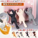スマホスタンド 猫 3個セット かわいい 吸盤 ネコ 簡単 便利 インテリア スマホ アクセサリー コンパクト 卓上 ホルダー オブジェ 雑貨 にゃんこ 可愛い 携帯 選べる2タイプ にゃんこ 吸盤付き 小物 卓上 3個入り 猫型 猫グッズ 3匹セット 愛猫