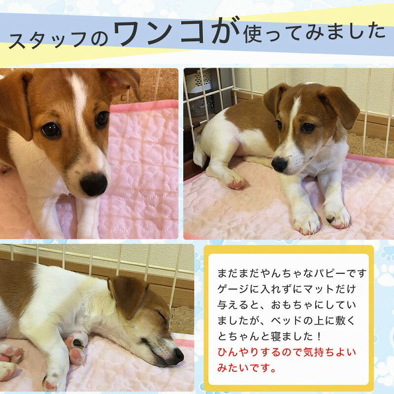 ペット冷感マットXLサイズ冷却パッド犬猫ひんやり暑さ対策熱中症対策洗えるペット用品冷感敷きパッドケージソファペットベッド車中型犬大型犬