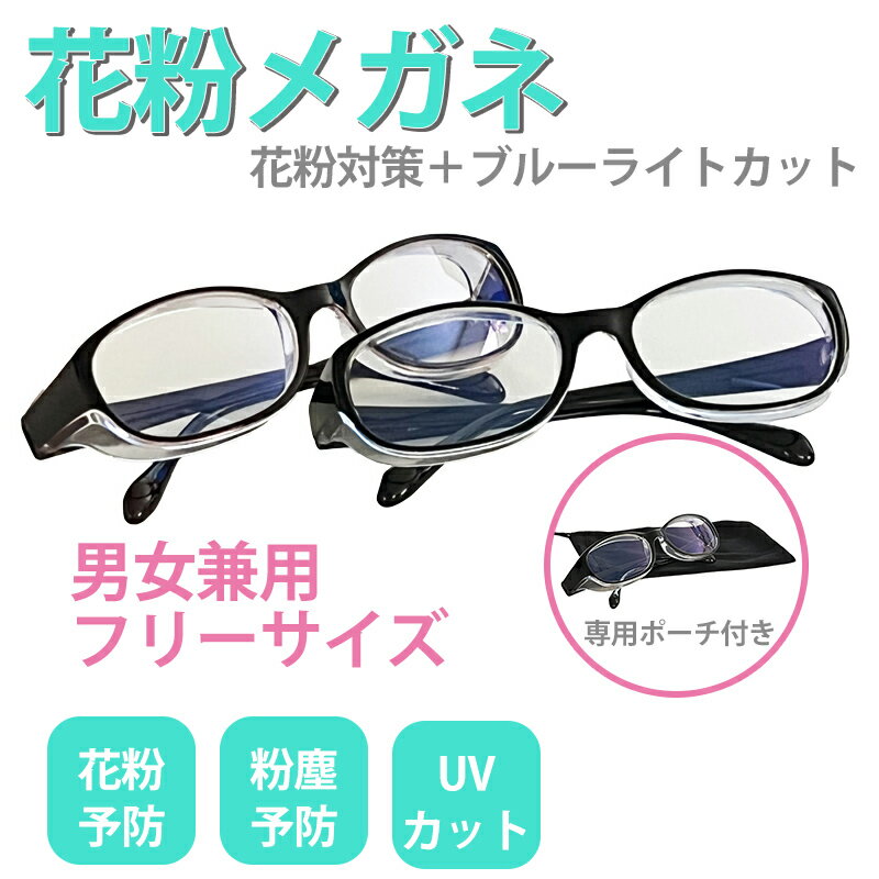 \全商品ポイント5倍/ 花粉 メガネ ブルーライトカット 収納ポーチ付き ゴーグル メガネ キッズ UVカット ジュニア 保護メガネ 花粉対策 グッズ ウィルス...