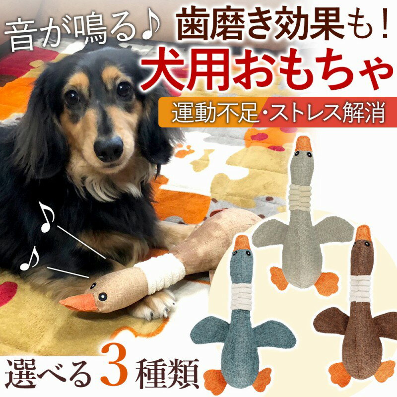 犬用 おもちゃ ぬいぐるみ 噛む あひる 丈夫 人気 ストレス解消 歯磨き 噛む デンタルケア ペット ストレス解消 洗える 小型犬 大型犬 プレゼント